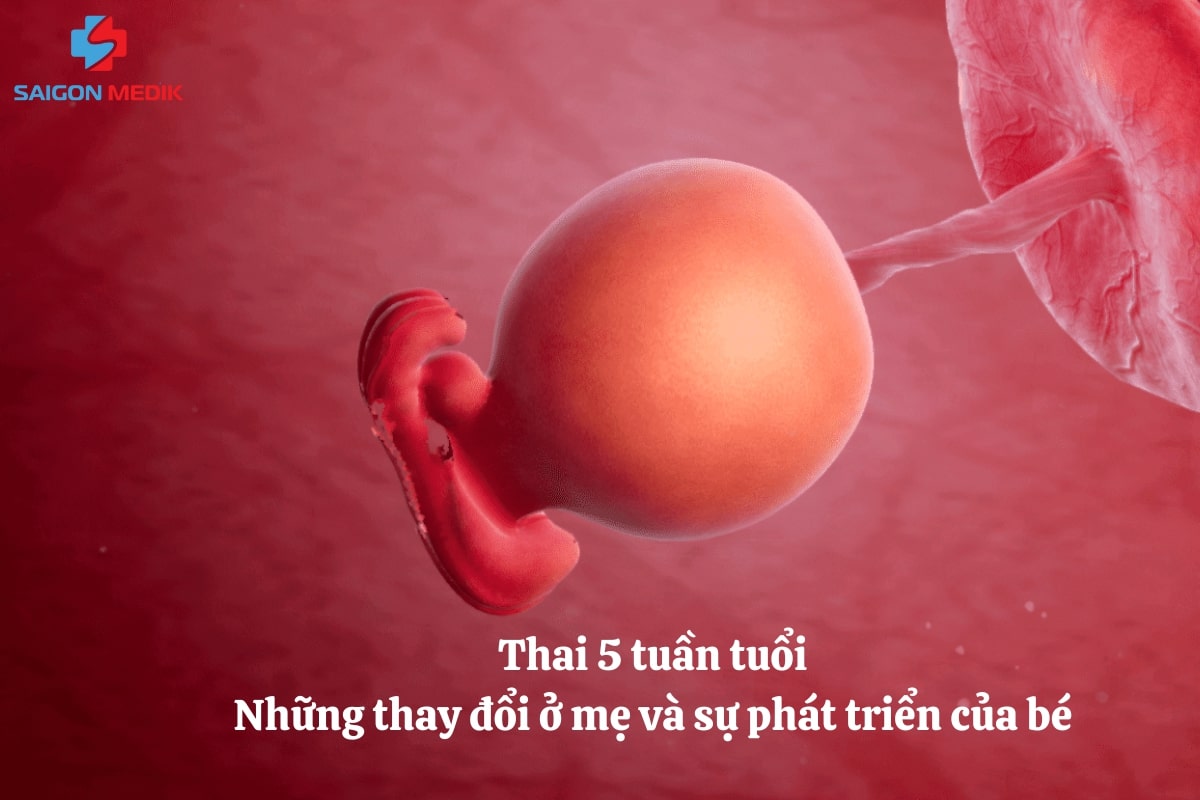 Thai 5 tuần tuổi: Những thay đổi ở mẹ và sự phát triển của bé