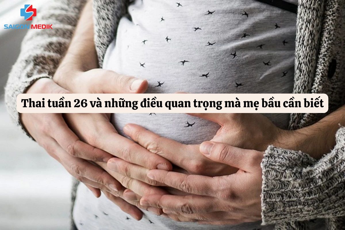 Thai 26 tuần và những điều quan trọng mà mẹ bầu cần biết