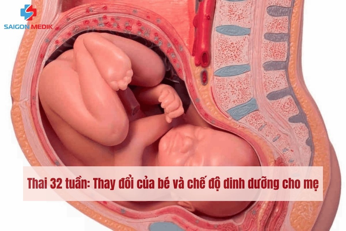 Thai 32 tuần: Thay đổi của bé và chế độ dinh dưỡng cho mẹ